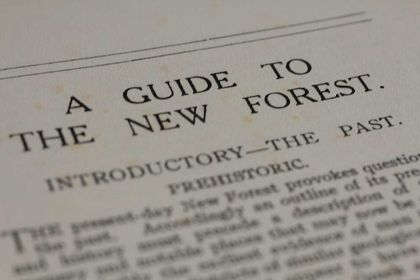 A Guide to the New Forest – Heywood Sumner