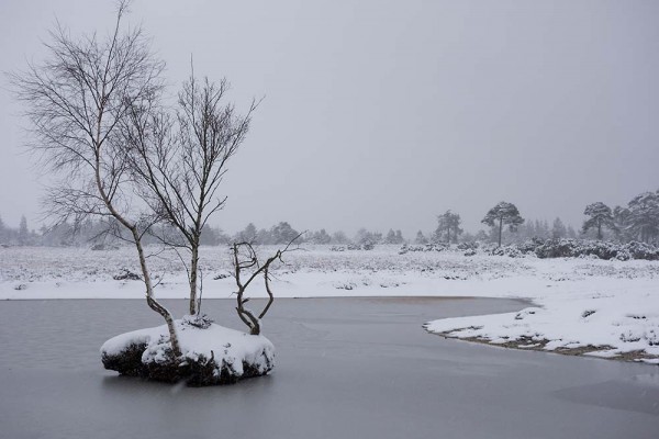 julian, konczak, photography, video, snow, new, forest, a trip out