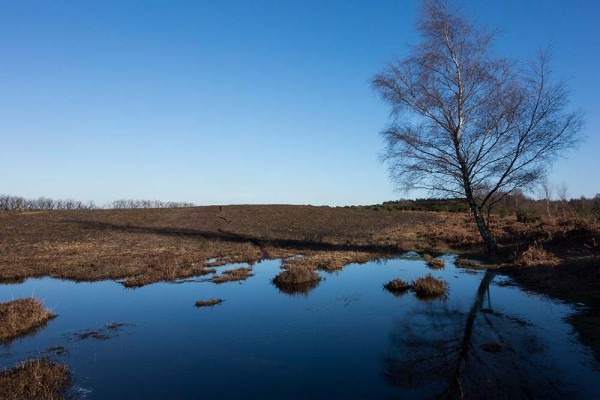 In Search of a Vista, White Moor Ridge, Lyndhurst, julian, konczak, photography, video, new, forest, a trip out