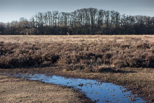 In Search of a Vista, White Moor Ridge, Lyndhurst, julian, konczak, photography, video, new, forest, a trip out