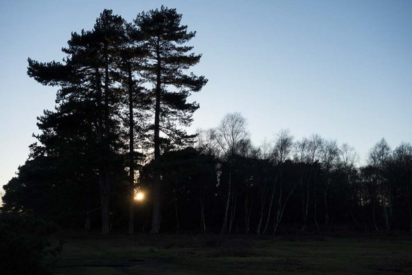 In Search of a Vista, White Moor Ridge, Lyndhurst, julian, konczak, photography, video, new, forest, a trip out