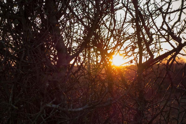 In Search of a Vista, White Moor Ridge, Lyndhurst, julian, konczak, photography, video, new, forest, a trip out