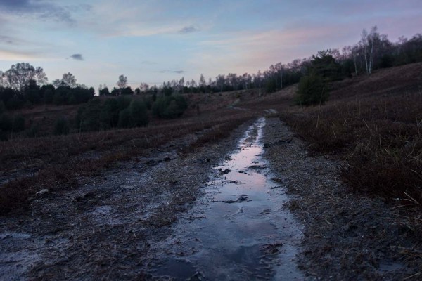 julian, konczak, photography, video, new, forest, a trip out, in search of a vista