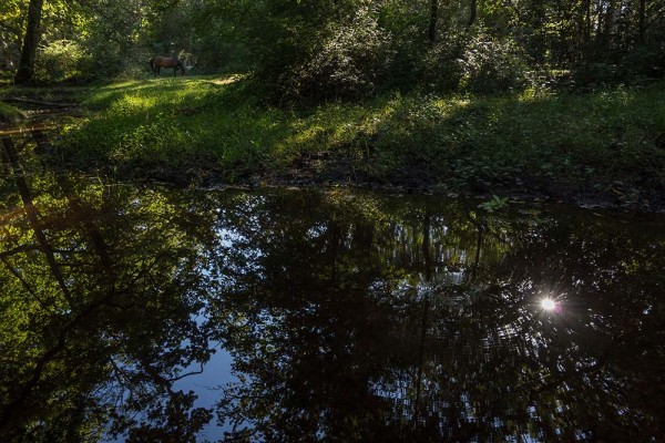 julian, konczak, photography, video, new, forest, a trip out