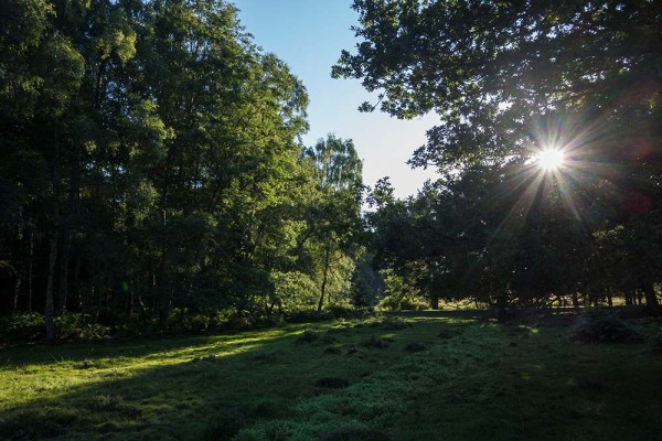 julian, konczak, photography, video, new, forest, a trip out