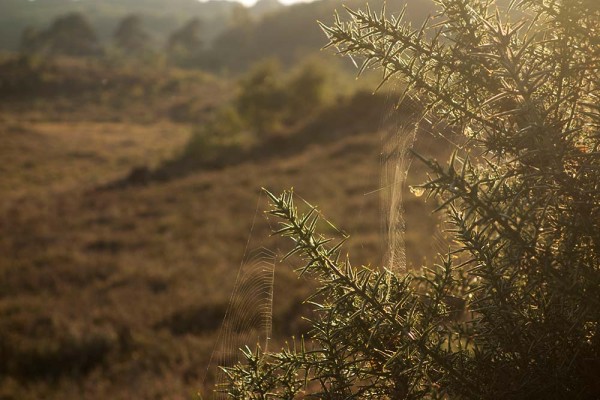 julian, konczak, photography, video, new, forest, a trip out, hightown