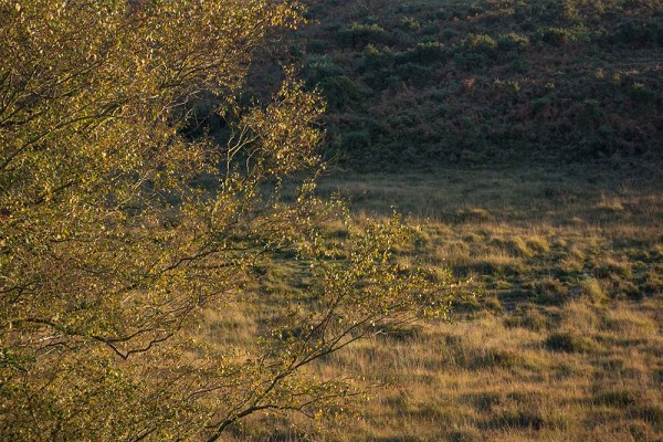 julian, konczak, photography, video, new, forest, a trip out, hightown