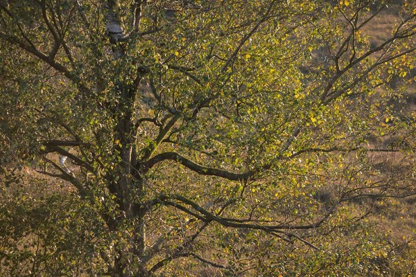 julian, konczak, photography, video, new, forest, a trip out, hightown