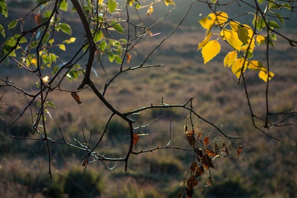 julian, konczak, photography, video, new, forest, a trip out, hightown