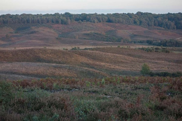 julian, konczak, photography, video, new, forest, a trip out, hightown