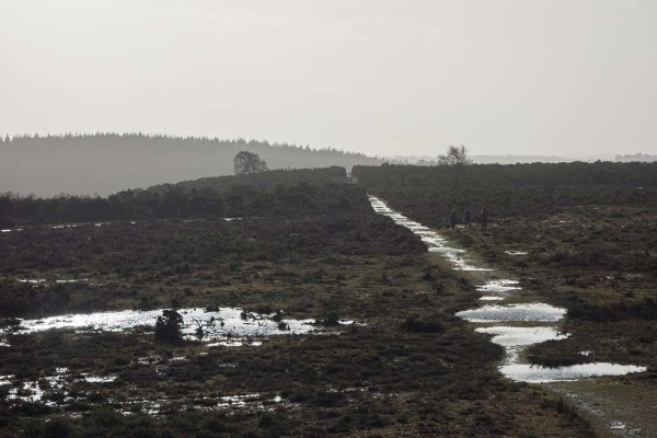 julian, konczak, photography, abbots well, pitts wood inclosure, ashley cross, forest trip out, new forest