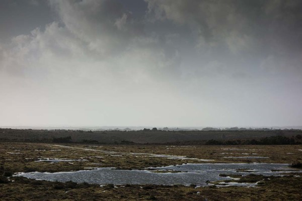 julian, konczak, photography, abbots well, pitts wood inclosure, ashley cross, forest trip out, new forest