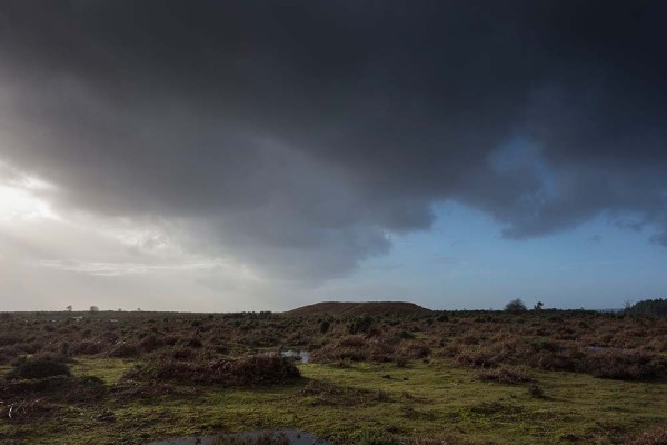 julian, konczak, photography, abbots well, pitts wood inclosure, ashley cross, forest trip out, new forest