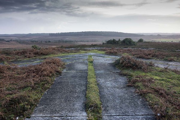 julian, konczak, photography, abbots well, pitts wood inclosure, ashley cross, forest trip out, new forest