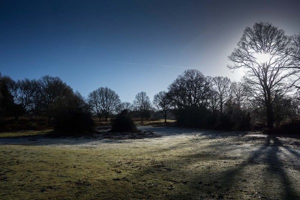 julian, konczak, photography, high corner, hasley wood inclosure, forest trip out, new forest, in search of a vista, winter