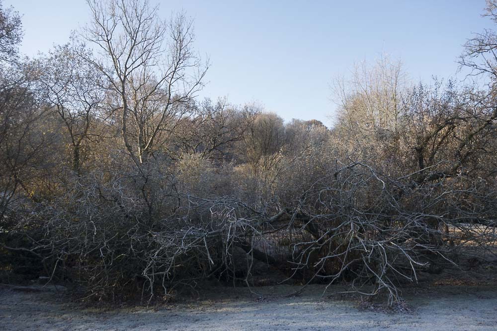 julian, konczak, photography, forest trip out, new forest, in search of a vista, winter, bigburn hill