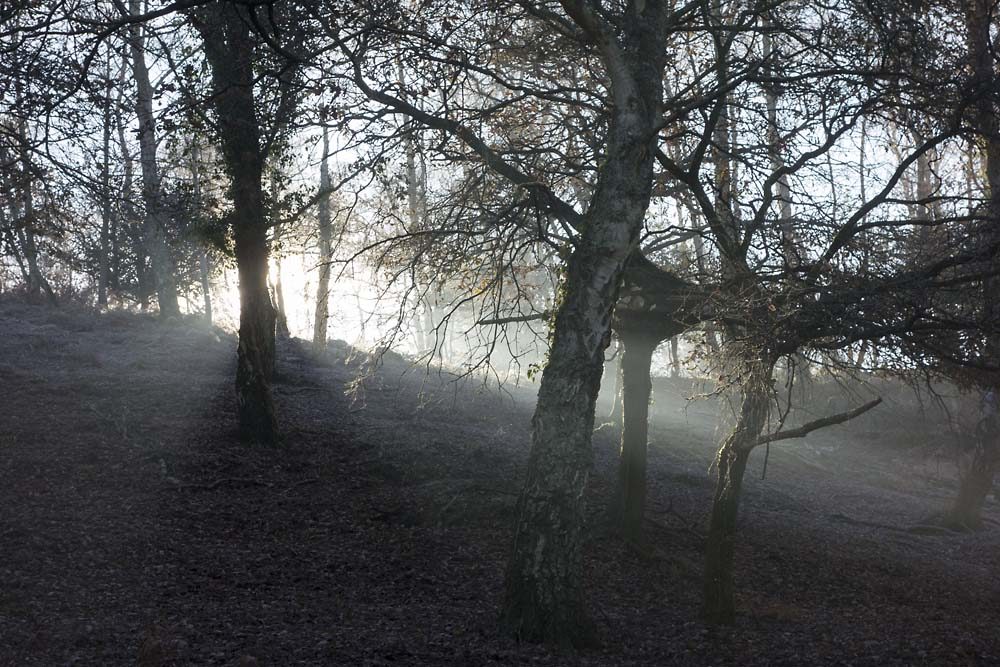 julian, konczak, photography, forest trip out, new forest, in search of a vista, winter, bigburn hill