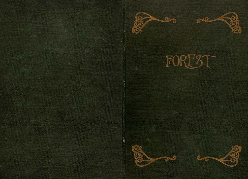 forest a trip out catalogue julian konczak philip hoare antiquarian victorian flourish embossed