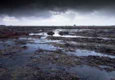 In Search of a Vista – Recce on Ibsley Common