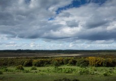 In Search of a Vista – Across Hincheslea Moor