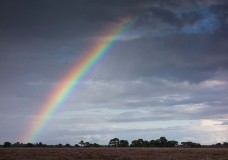 In Search of a Vista – To Backley Plain