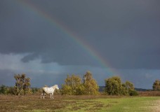 In Search of a Vista – Around Little Whitemoor Bottom