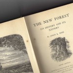 The New Forest – J R Wise